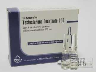 ampoules of Testosterone Enanthate 250mg by Aburaihan Co. Tehran for deep intramuscular injection