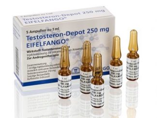 Eifelfango Testosterone Enanthate 250mg/ml – injectable testosterone for strength and mass