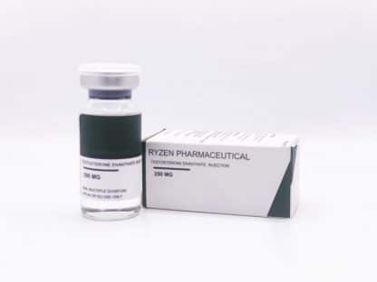 Ryzen Testosterone Enanthate – 250mg/ml – 10ml Vial