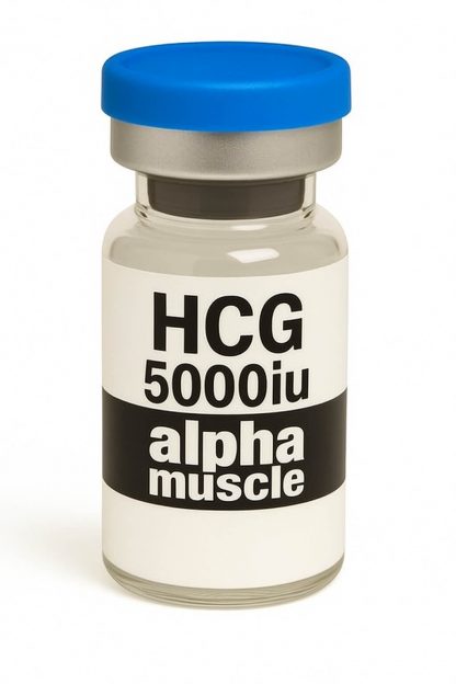 HCG 5000IU vial by Alpha Muscle for testosterone and fertility research