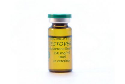 Vermodje Testover E 250mg/ml Testosterone Enanthate vial