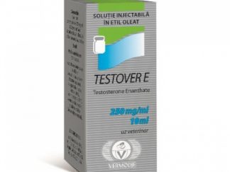 Vermodje Testover E 250mg/ml Testosterone Enanthate vial